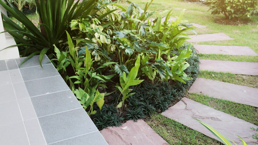 6 Landscaping Services